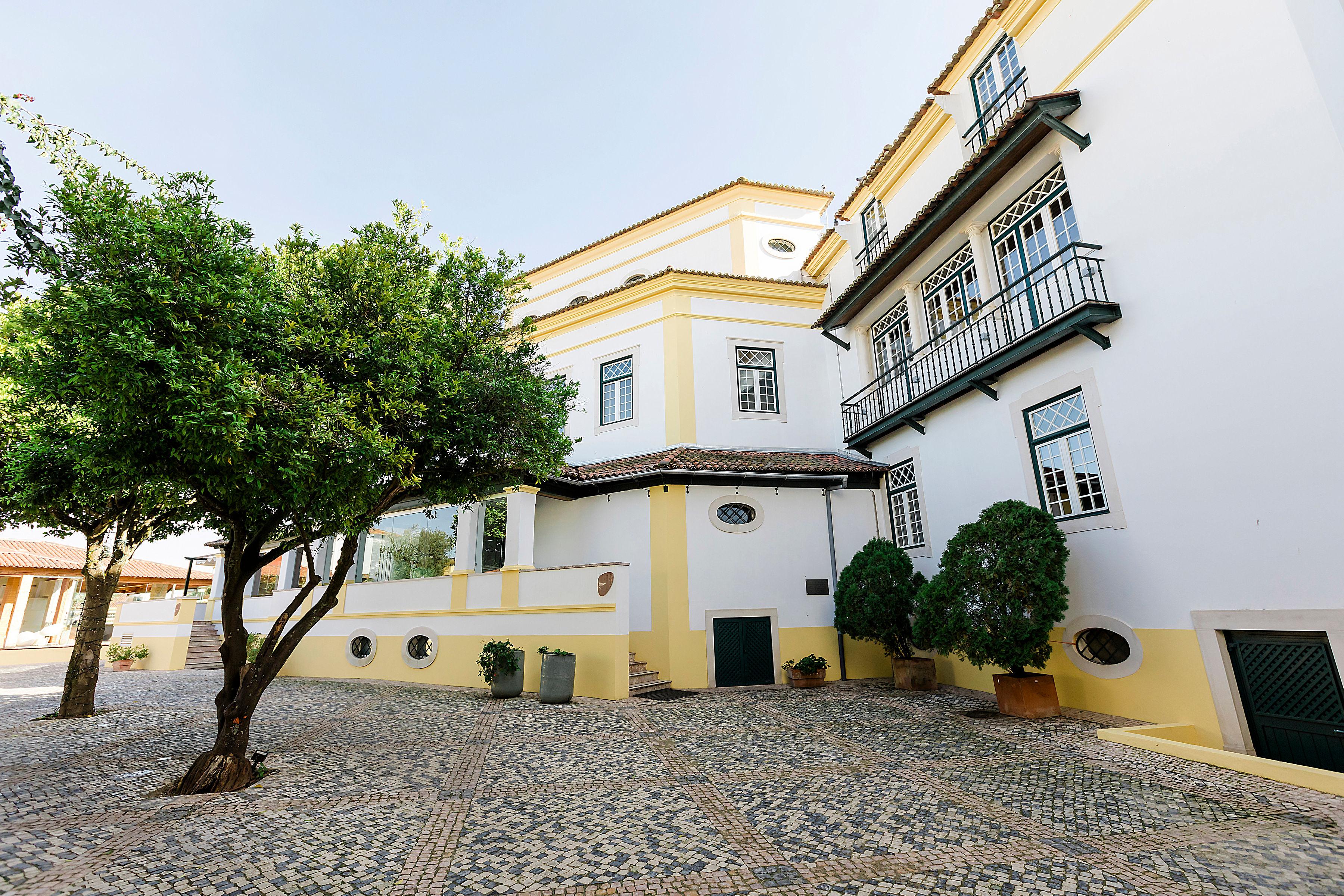 Hotel Lusitano Golegã Zewnętrze zdjęcie